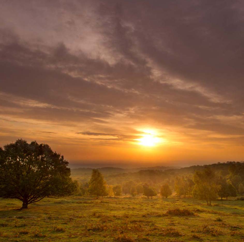 26@2x National Forest Sunset
