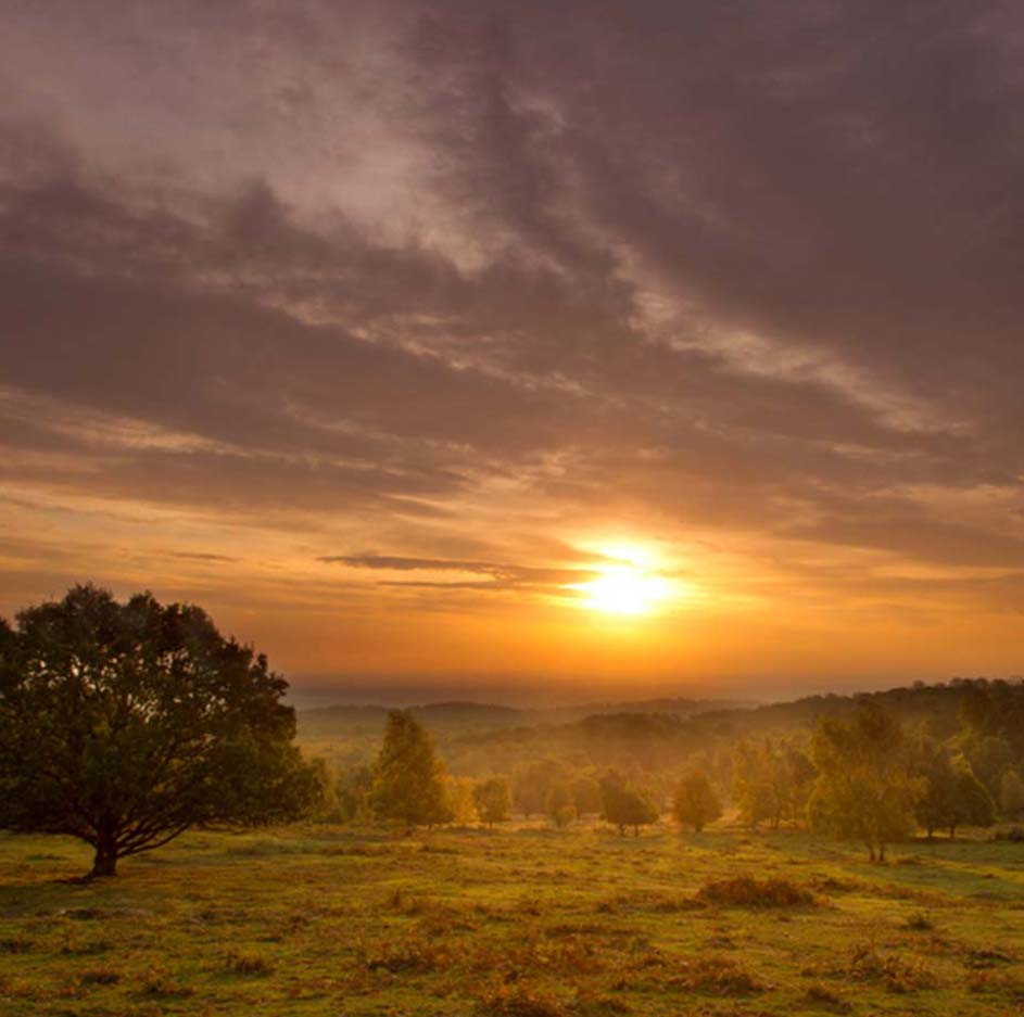 National Forest Sunset