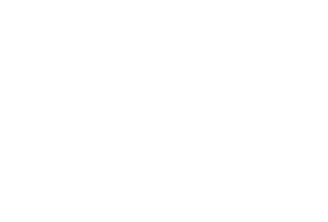 The_National_Forest_logo.svg The_National_Forest_logo.svg