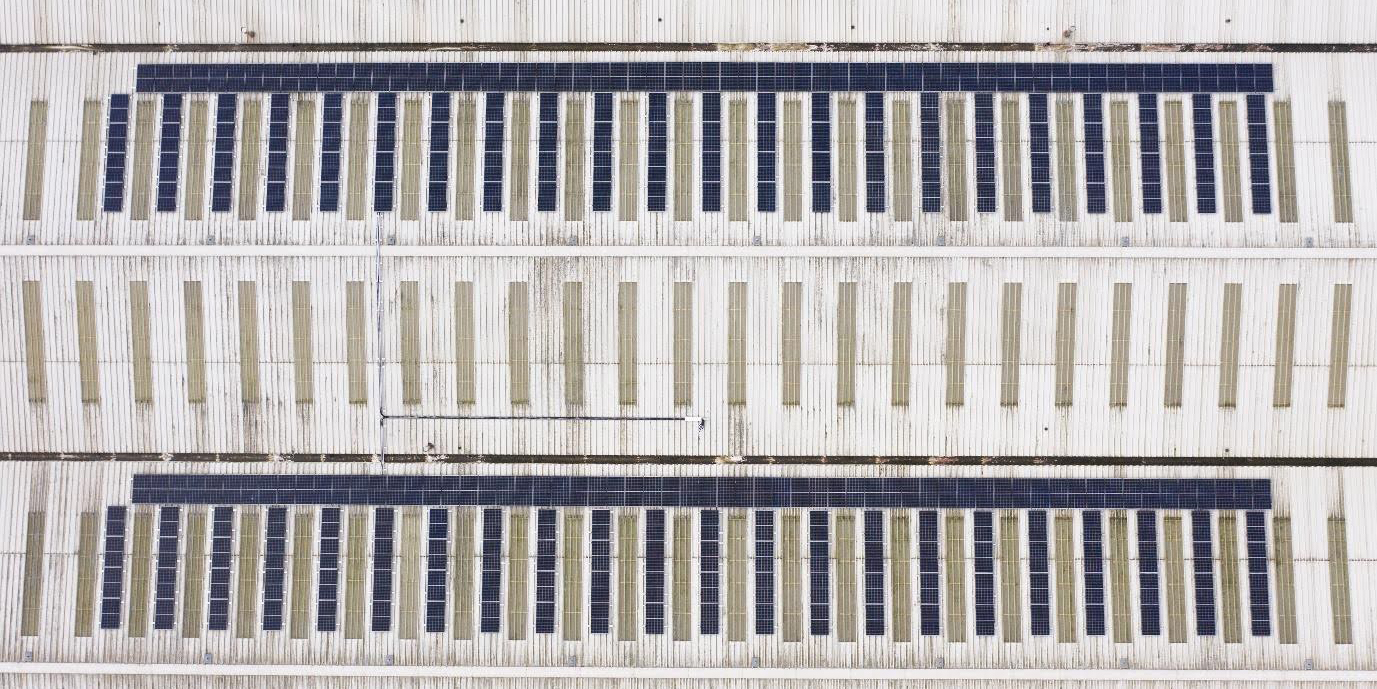 Solar Panels - Cropped Solar Panels - Cropped